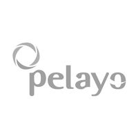 Pelayo