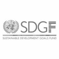 SDGFund
